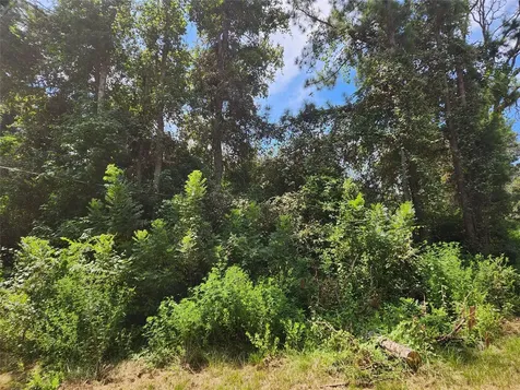 Lot 27 Mayhaw Lane Plantersville TX 77363