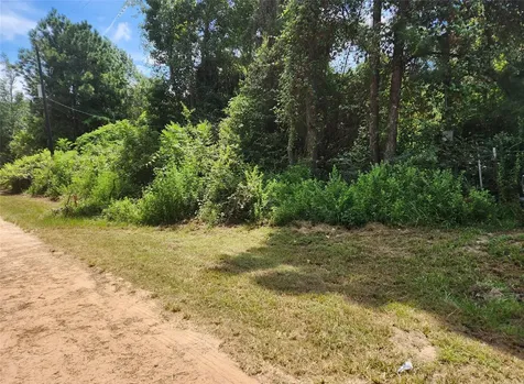 Lot 27 Mayhaw Lane Plantersville TX 77363