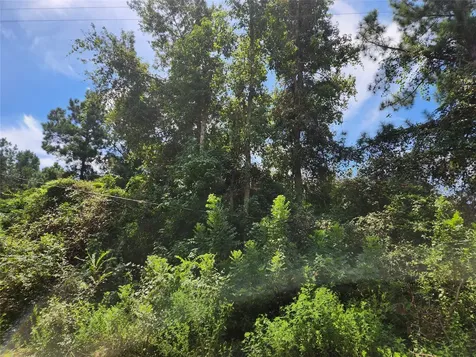 Lot 27 Mayhaw Lane Plantersville TX 77363