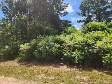 Lot 27 Mayhaw Lane Plantersville TX 77363