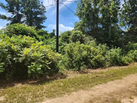 Lot 27 Mayhaw Lane Plantersville TX 77363