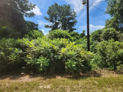 Lot 27 Mayhaw Lane Plantersville TX 77363