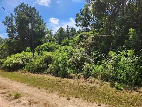 Lot 27 Mayhaw Lane Plantersville TX 77363