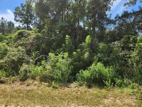 Lot 27 Mayhaw Lane Plantersville TX 77363