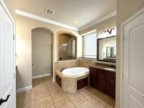 27610 Dalton Bluff Court Katy TX 77494