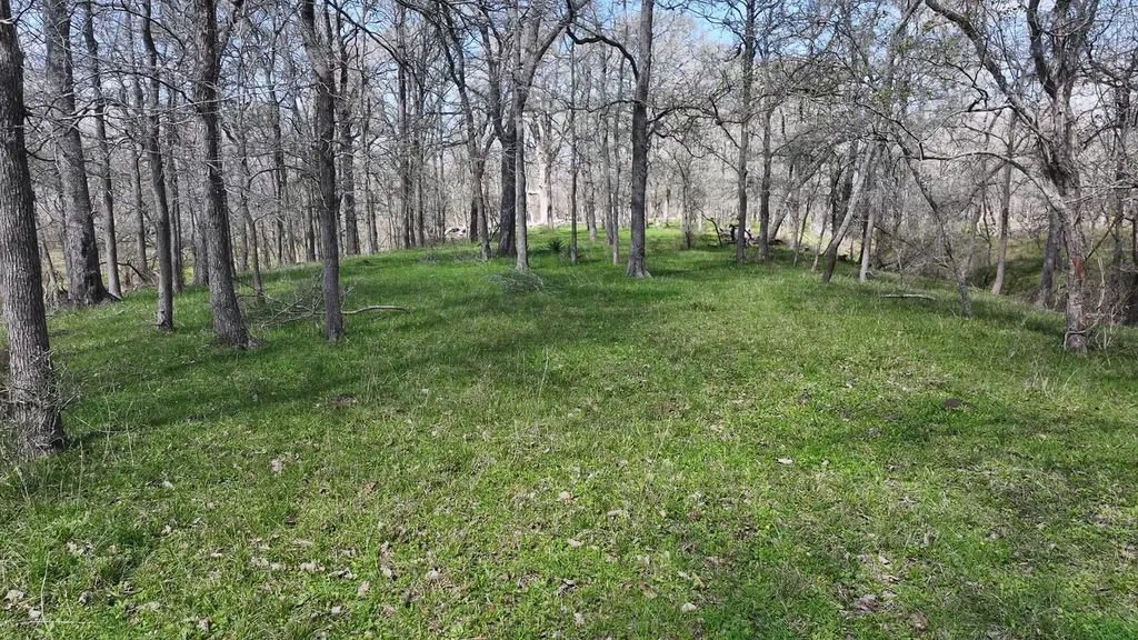 40499 Garrett Road Brookshire TX 77423
