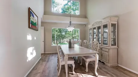 10 Owls Cove Place The Woodlands TX 77382