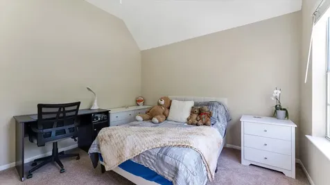 10 Owls Cove Place The Woodlands TX 77382