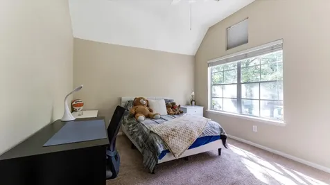 10 Owls Cove Place The Woodlands TX 77382