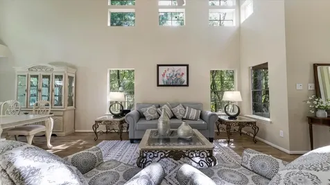 10 Owls Cove Place The Woodlands TX 77382