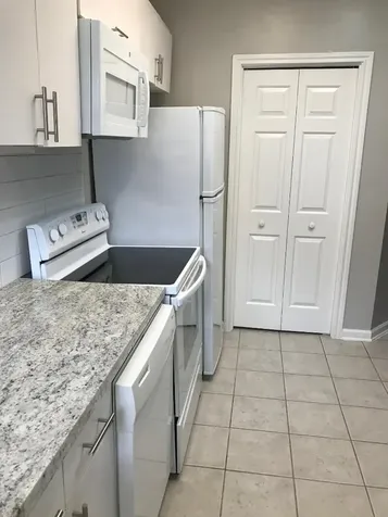 315 Branard Street 4 Houston TX 77006
