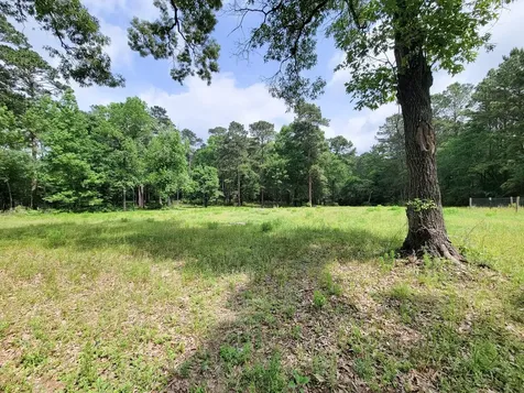 20284 Forest Woods Lane Montgomery TX 77356