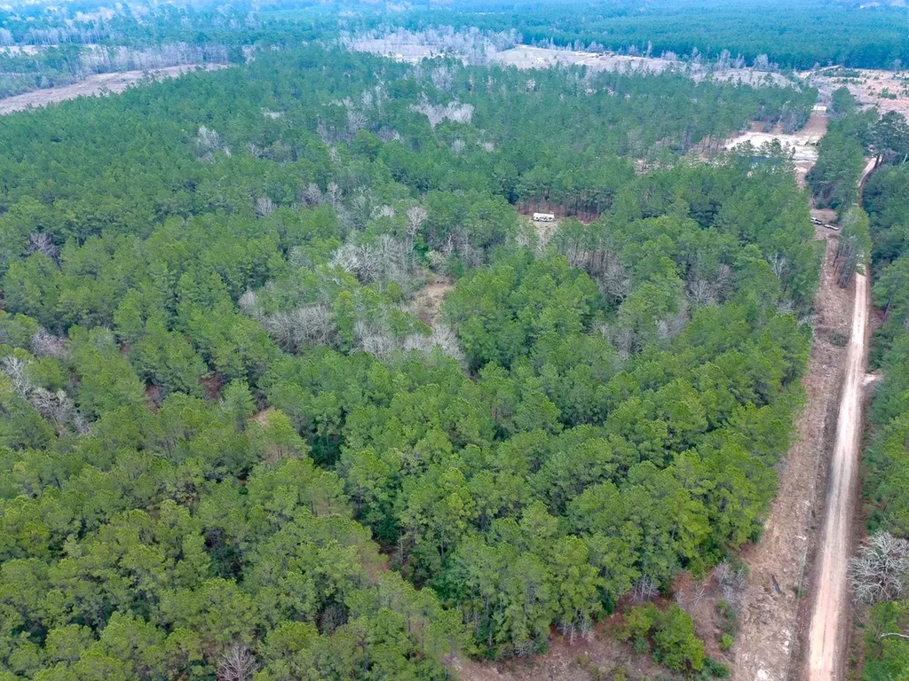 209 Joskey Dykes Road Zavalla TX 75980