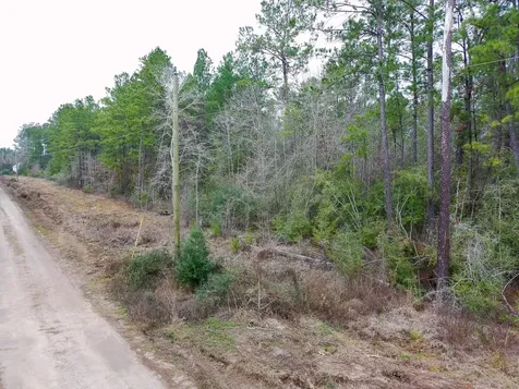 209 Joskey Dykes Road Zavalla TX 75980