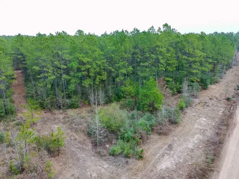209 Joskey Dykes Road Zavalla TX 75980