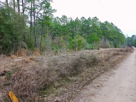 209 Joskey Dykes Road Zavalla TX 75980