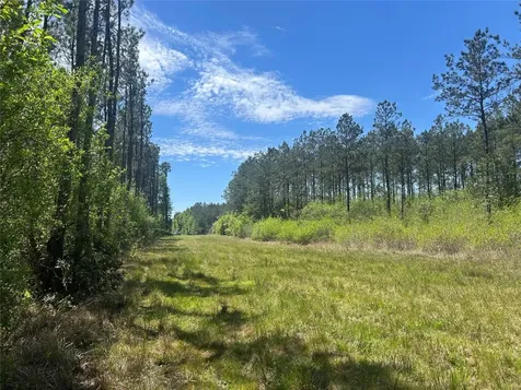 Lot 39 Carter Ranch Road Kountze TX 77625