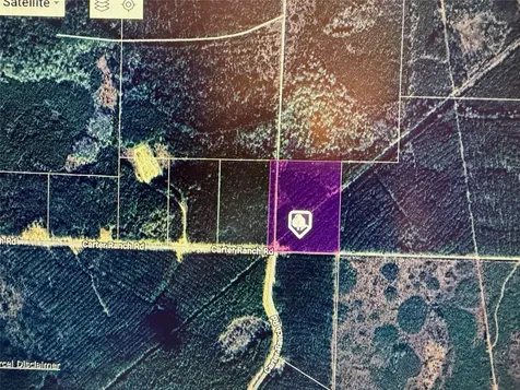 Lot 39 Carter Ranch Road Kountze TX 77625
