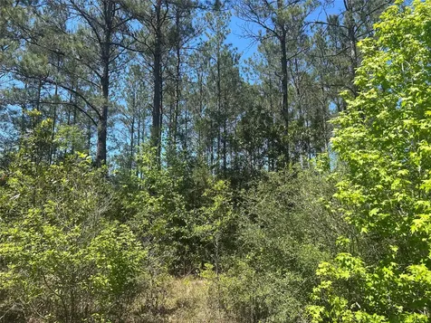 Lot 39 Carter Ranch Road Kountze TX 77625