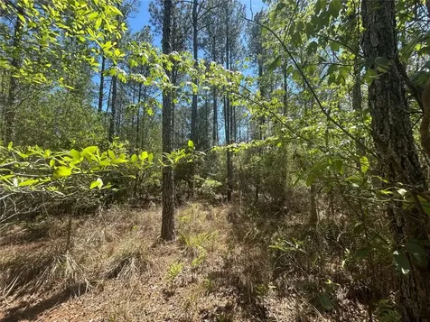 Lot 39 Carter Ranch Road Kountze TX 77625