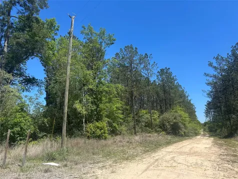 Lot 39 Carter Ranch Road Kountze TX 77625