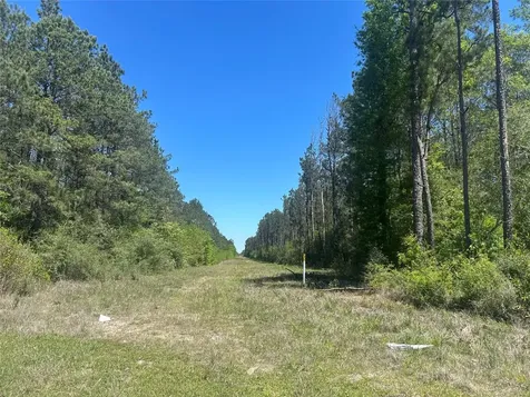 Lot 39 Carter Ranch Road Kountze TX 77625