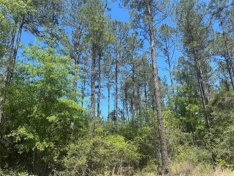 Lot 39 Carter Ranch Road Kountze TX 77625
