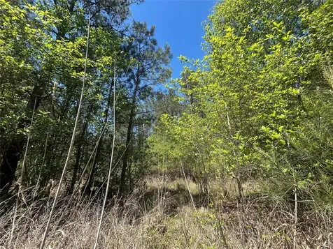 Lot 39 Carter Ranch Road Kountze TX 77625