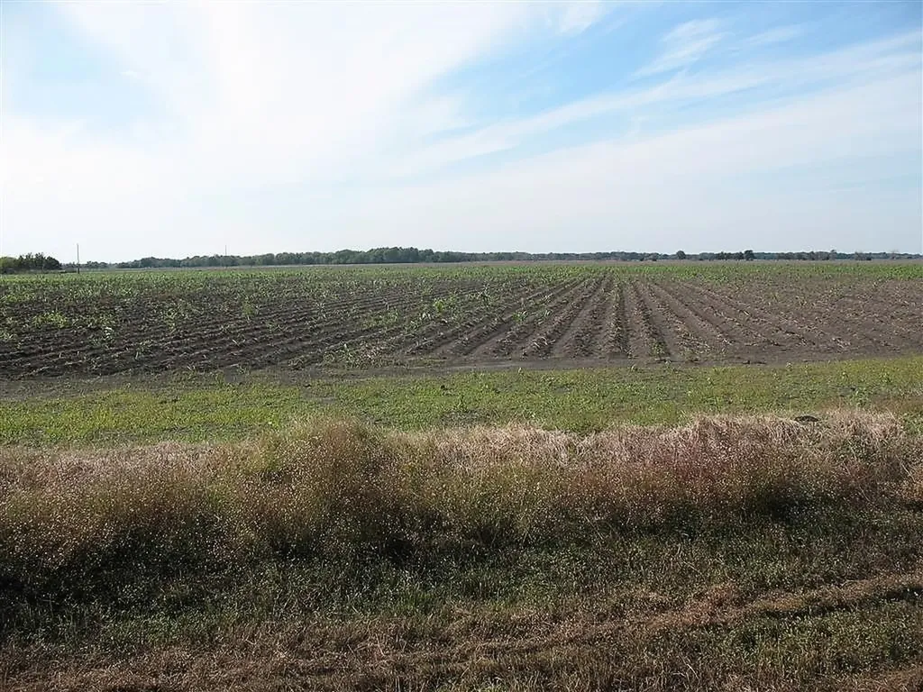 28002 Highway 36 At County Road 21 Highway Damon TX 77430