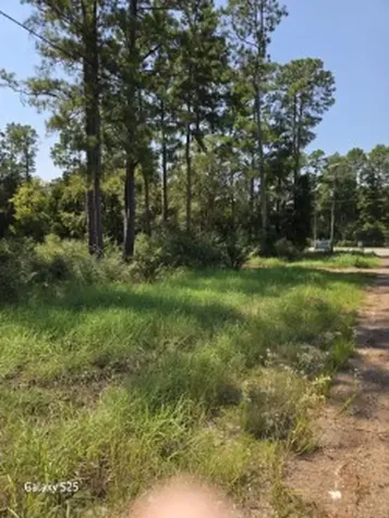 10978 Oak Forest Drive Plantersville TX 77363