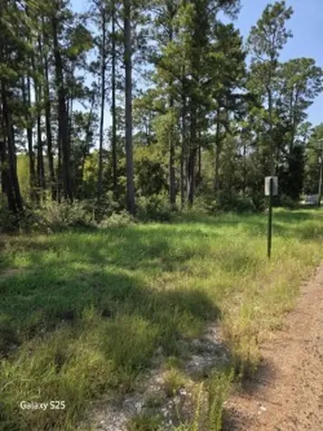 10978 Oak Forest Drive Plantersville TX 77363
