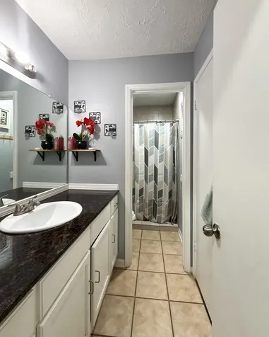 13327 Gaby Virbo Drive Houston TX 77083
