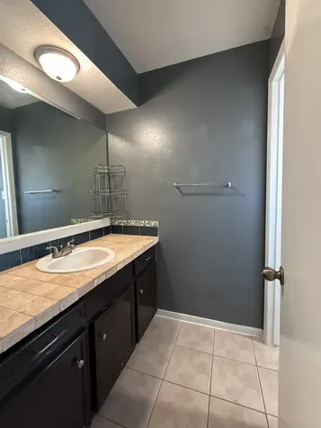 13327 Gaby Virbo Drive Houston TX 77083