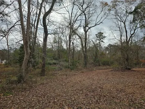 22647 Kelly Drive Saratoga TX 77585