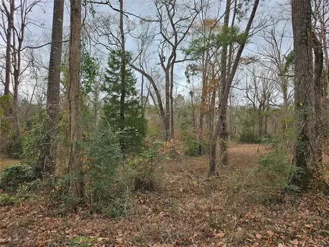 22647 Kelly Drive Saratoga TX 77585