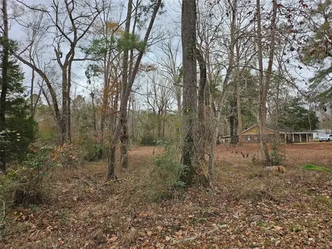 22647 Kelly Drive Saratoga TX 77585
