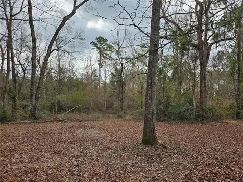 22647 Kelly Drive Saratoga TX 77585