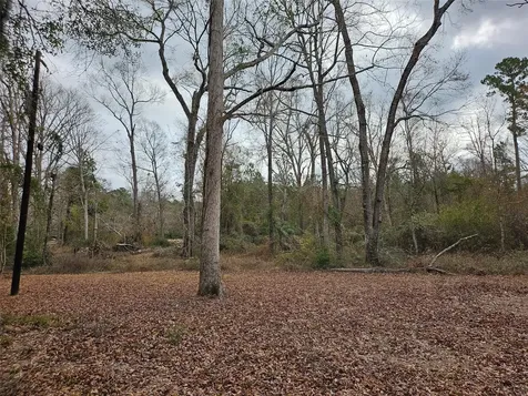 22647 Kelly Drive Saratoga TX 77585