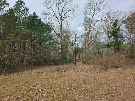 22647 Kelly Drive Saratoga TX 77585