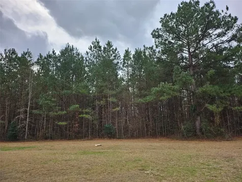 22647 Kelly Drive Saratoga TX 77585