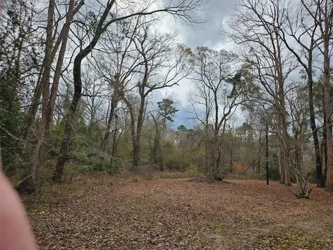 22647 Kelly Drive Saratoga TX 77585