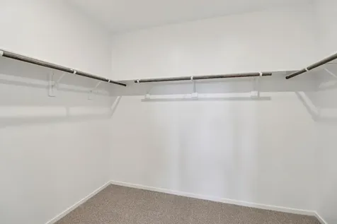 17431 Butterfly Orchid Lane Waller TX 77484