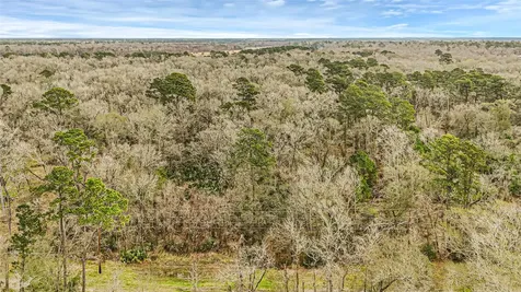 12202 Indian Oaks Lane Houston TX 77044