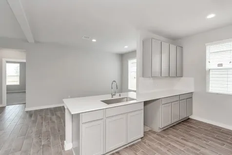 18530 Athena Flower Drive Fresno TX 77545
