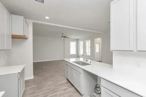 18530 Athena Flower Drive Fresno TX 77545