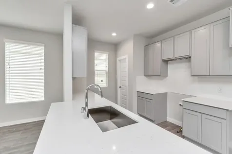 18530 Athena Flower Drive Fresno TX 77545