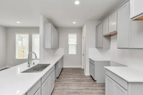 18530 Athena Flower Drive Fresno TX 77545