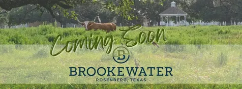 407 Blue River Trail Rosenberg TX 77471