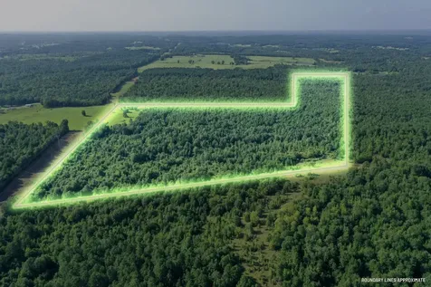 Tbd County Road 2907 Hughes Springs TX 75656