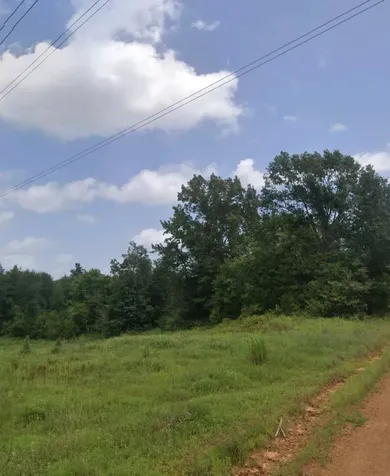 Tbd County Road 2907 Hughes Springs TX 75656